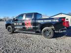 2024 Chevrolet Silverado K1500 Trail Boss Custom