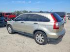 2009 Honda Cr-v ex