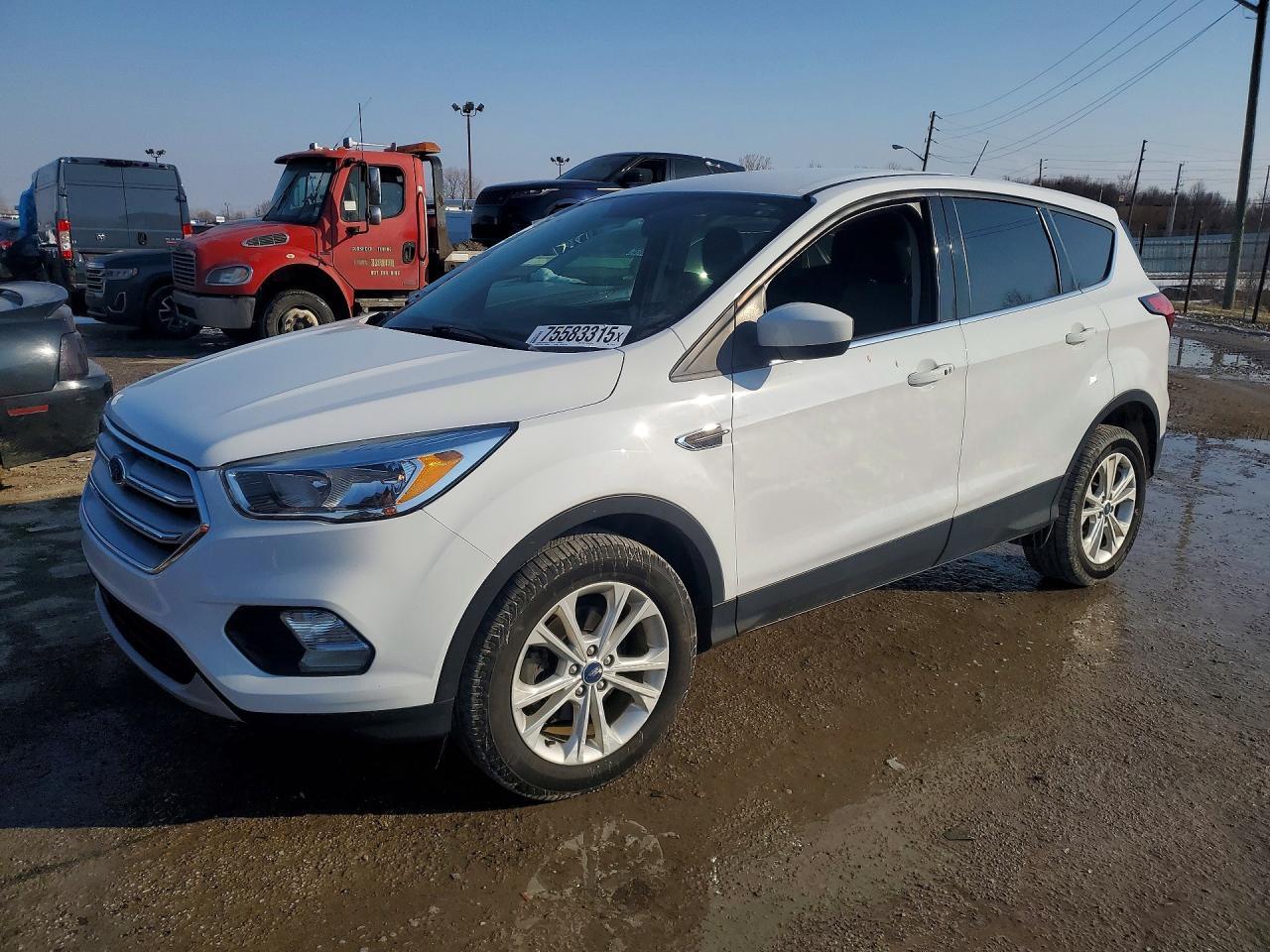 2019 Ford Escape se