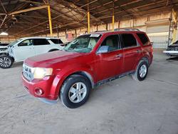 Salvage cars for sale from Copart Phoenix, AZ: 2010 Ford Escape xlt