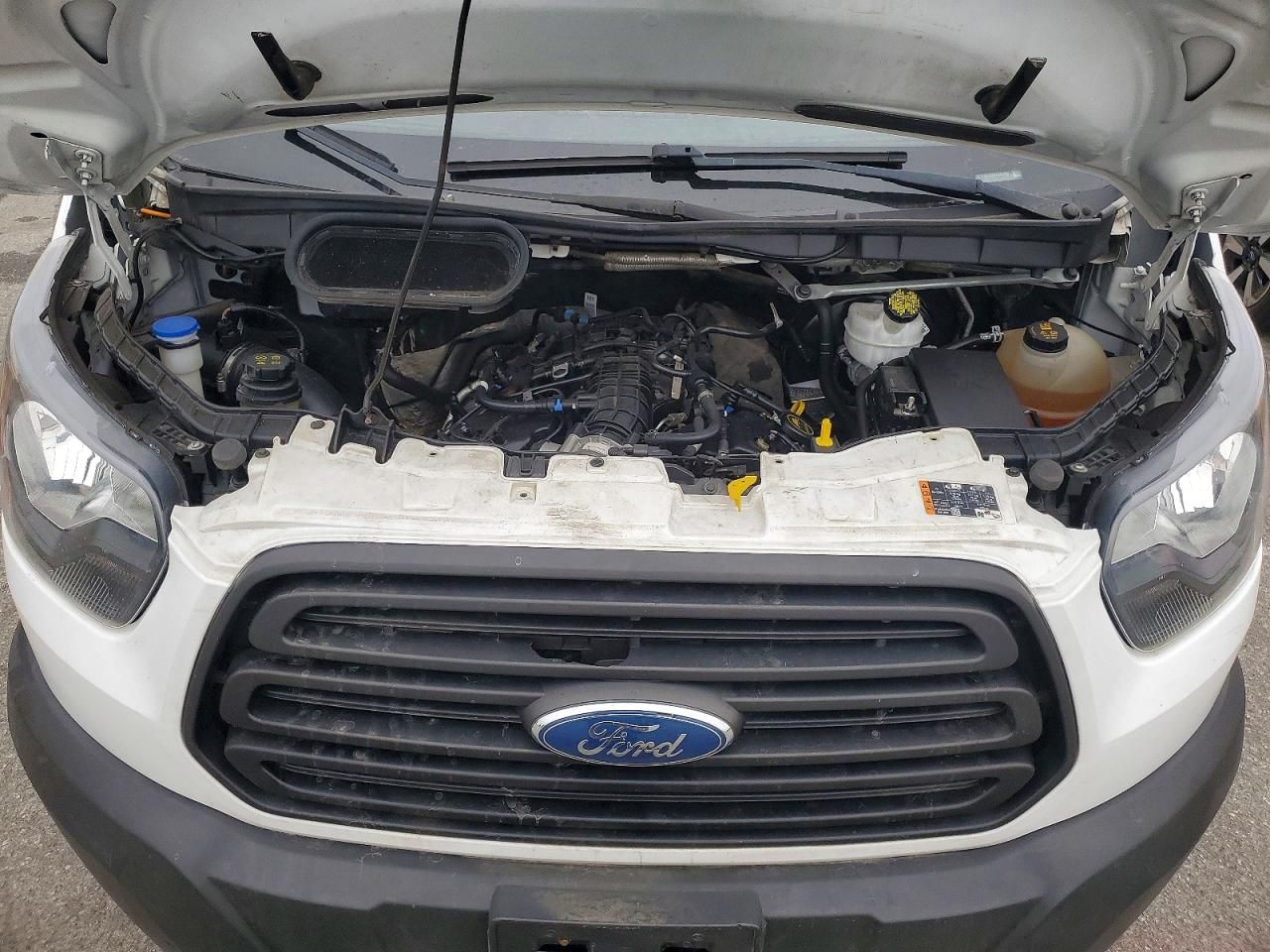 2019 Ford Transit 250 Delivery Van