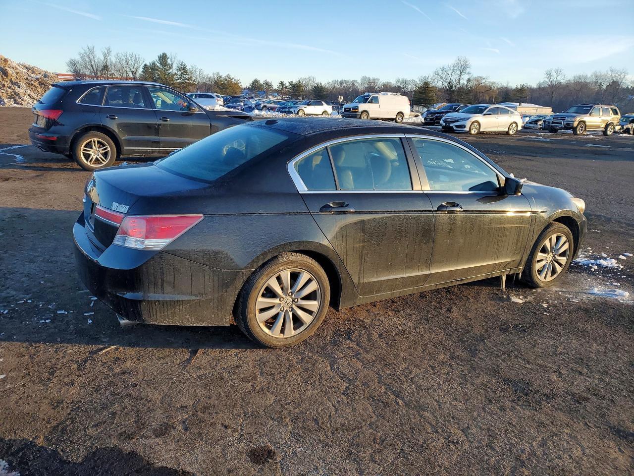 2011 Honda Accord exl