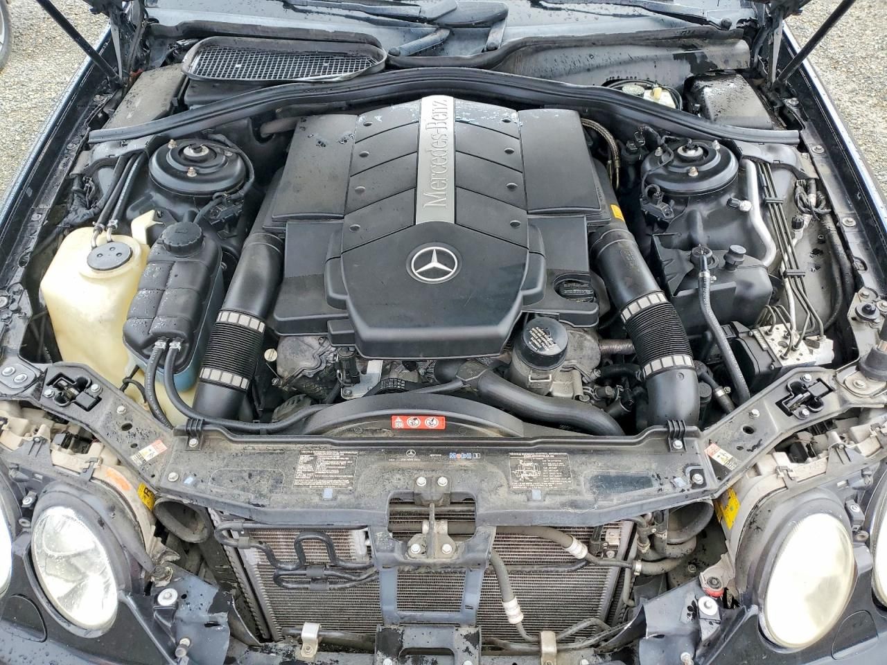 2005 Mercedes-Benz Cl 500