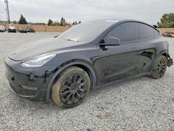Tesla salvage cars for sale: 2021 Tesla Model y