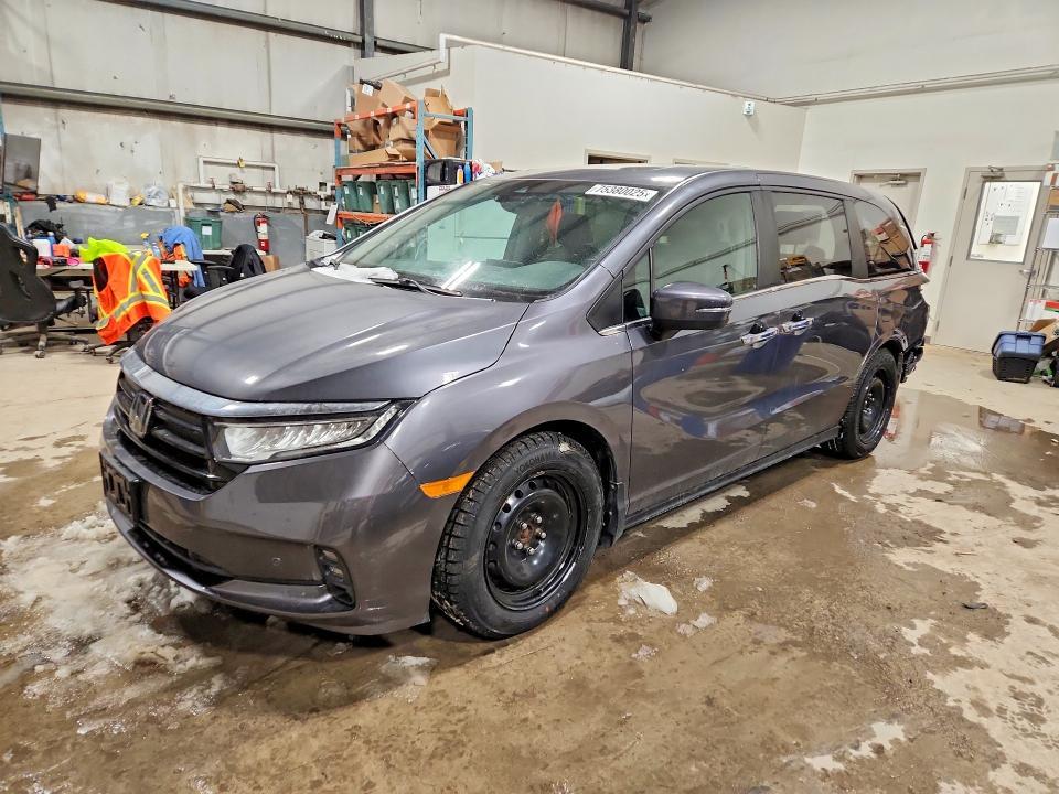 2023 Honda Odyssey exl