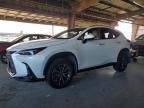 2025 Lexus Nx 350h Base