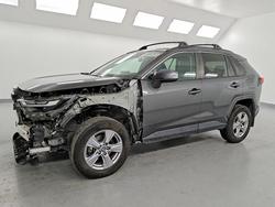 Vehiculos salvage en venta de Copart Van Nuys, CA: 2023 Toyota Rav4 xle