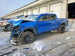 2016 Toyota Tacoma for sale in Louisville, KY