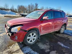 Toyota salvage cars for sale: 2010 Toyota Rav4 Limited