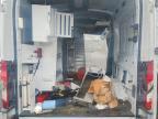 2023 Ford Transit 250 Utility / Service Van