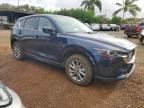 2024 Mazda Cx-5 Select