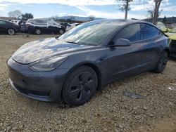 2023 Tesla Model 3 for sale in San Martin, CA