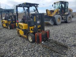 Salvage trucks for sale at Duryea, PA auction: 2015 Yale Forklift