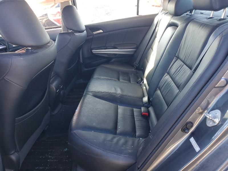 2010 Honda Accord exl