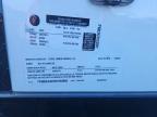 2025 Steel Pines C Argo 8.5X24TA3 Enclosed Cargo Trailer