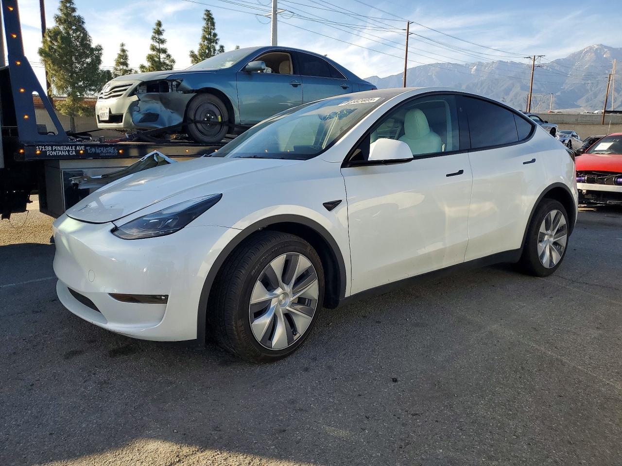 2024 Tesla Model y