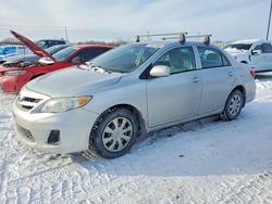 Toyota Corolla salvage cars for sale: 2013 Toyota Corolla Base