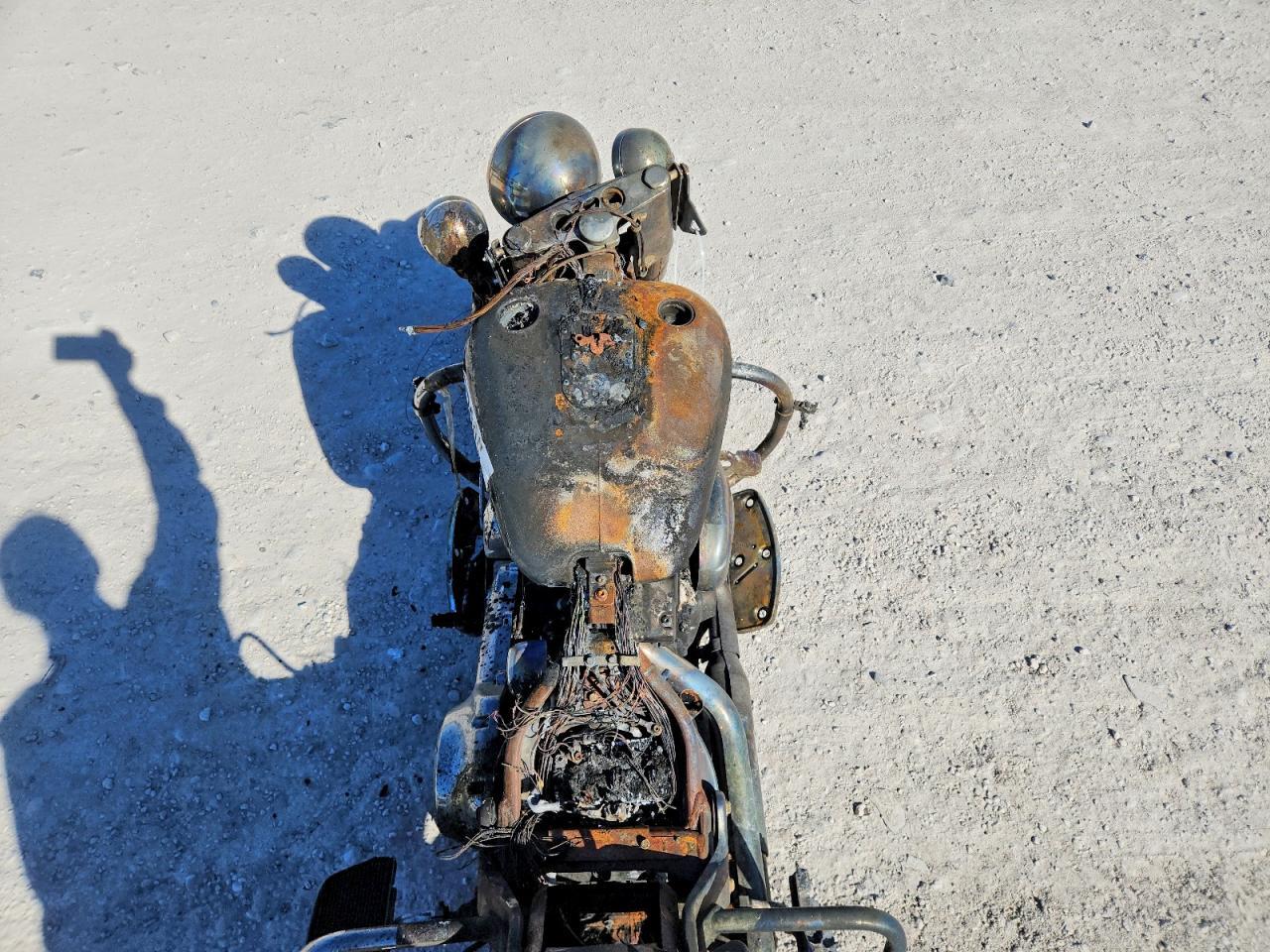 2008 Harley-Davidson Flstc