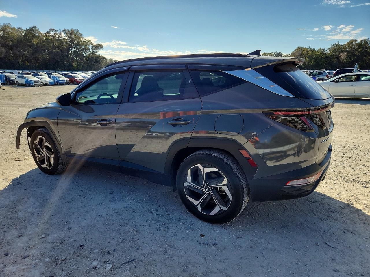 2024 Hyundai Tucson sel