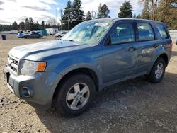 2012 Ford Escape xls for sale in Graham, WA