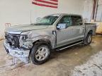 2025 Ford F150 XLT