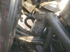 2025 Kawasaki EX500