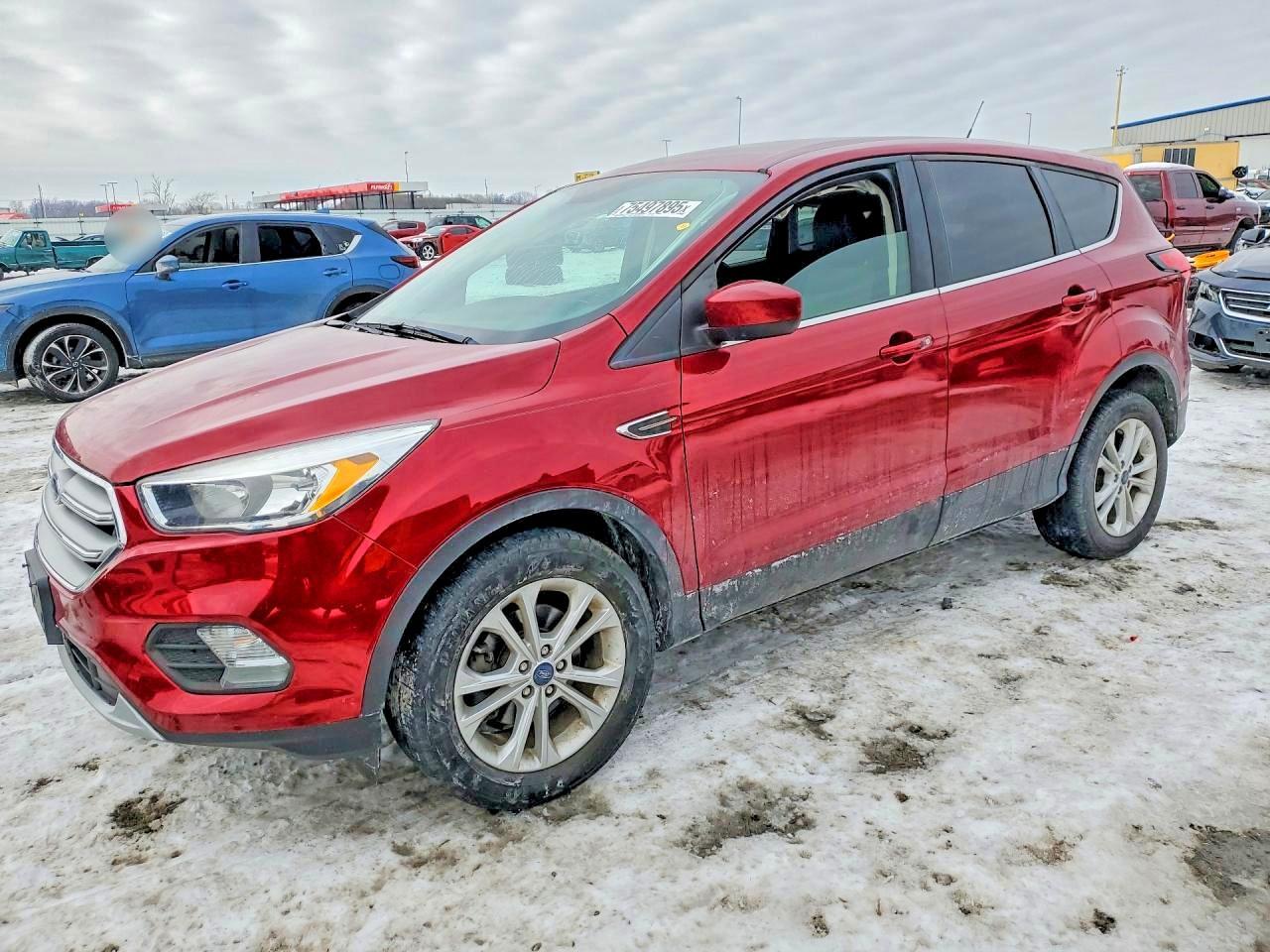 2019 Ford Escape se