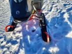 2022 Skidoo Expedition LE 900 A