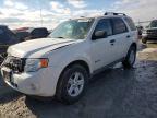 2010 Ford Escape Hybrid