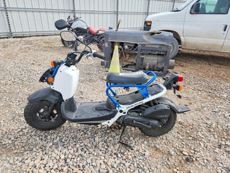 2023 Honda NPS50