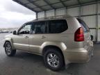 2004 Lexus Gx 470