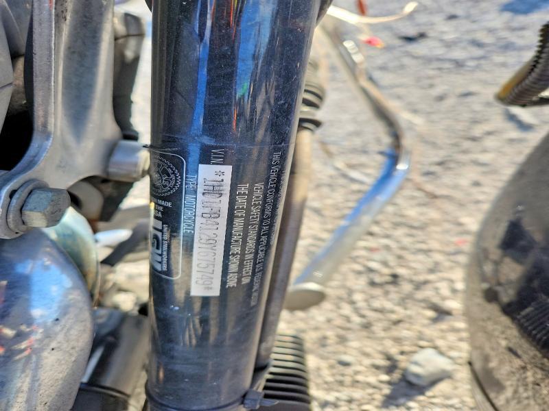 2009 Harley-Davidson Flhr