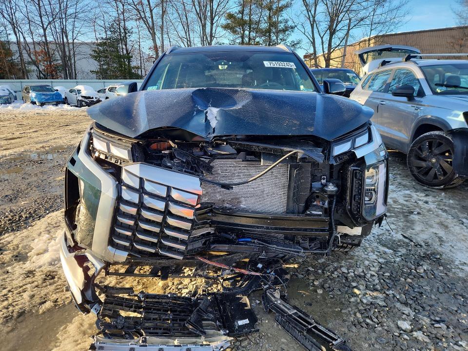 2025 Hyundai Palisade Calligraphy