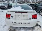 2003 Ford Mustang