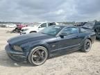 2005 Ford Mustang gt