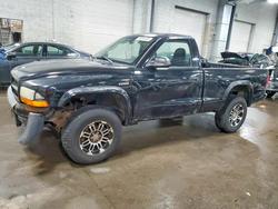 2003 Dodge Dakota sxt for sale in Ham Lake, MN