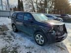 2013 Honda Pilot Exln