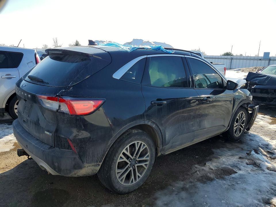 2020 Ford Escape sel