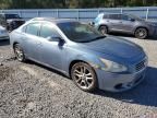 2010 Nissan Maxima s