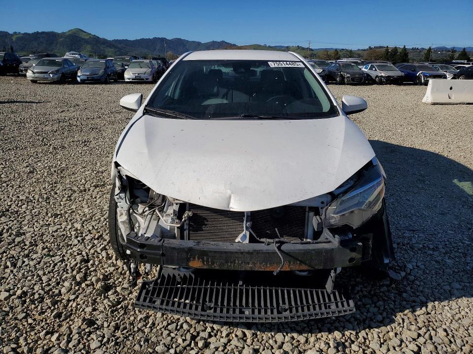 2019 Toyota Corolla l
