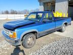 1991 Dodge Dakota