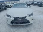 2024 Lexus Es 350 Base