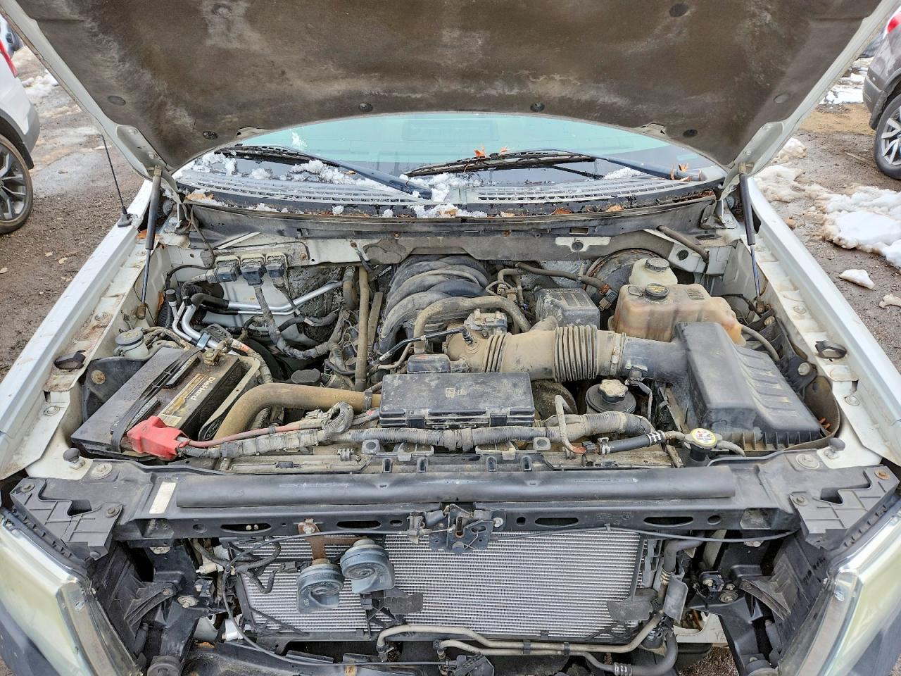 2010 Ford F150