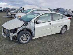 Toyota Prius salvage cars for sale: 2019 Toyota Prius Prime