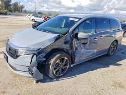 2023 Honda Odyssey Elite for sale in Van Nuys, CA