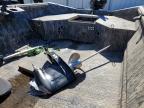 2023 Reaper Boats Boat-Boat