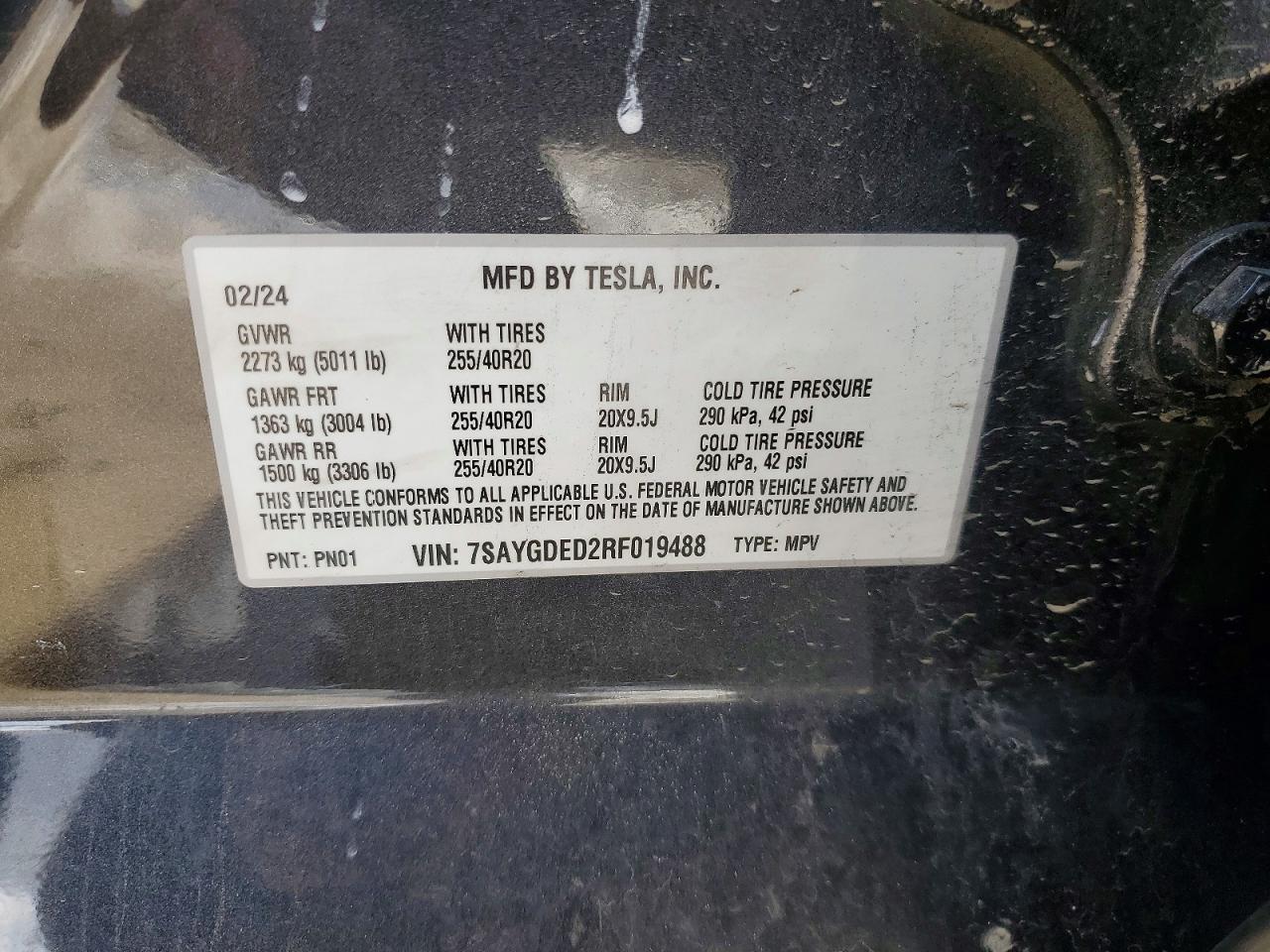 2024 Tesla Model y