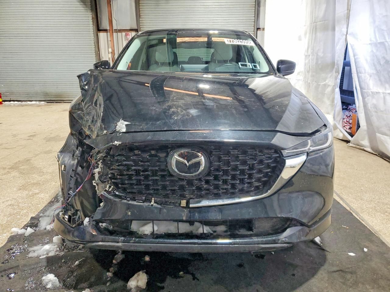 2024 Mazda Cx-5 Preferred