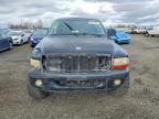 2001 Dodge Dakota Quattro