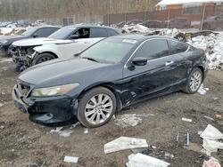 Vehiculos salvage en venta de Copart Baltimore, MD: 2008 Honda Accord exl